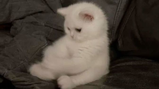 Sizin için özlem duygusu hangi renktir?