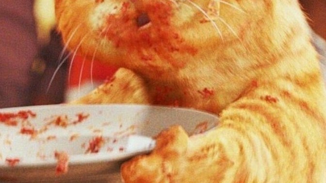 Misafirlikte ikinci tabağı isteme özgürlüğü gelmeli mi?