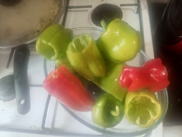 Dolma içinin rengi böyle olması normal mi?