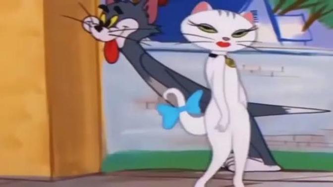 Pardon İyi akşam neden?