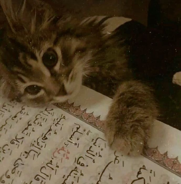 Kapak fotoğrafımdaki pati bu.