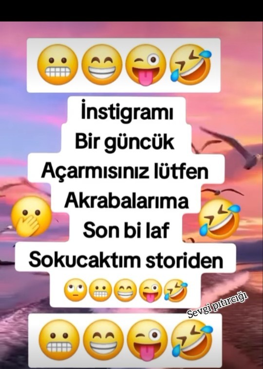 İnstagram açılsın mı?