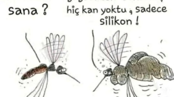Bu yaz sivrisinek daha mı çok bana mı öyle geliyor?