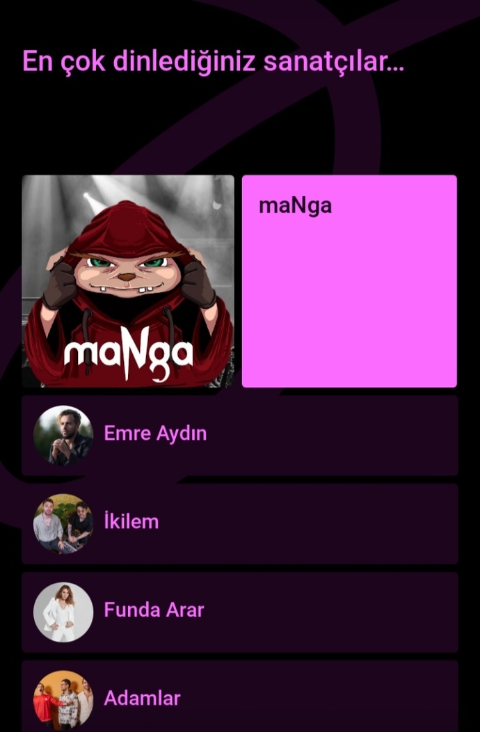En çok dinlediğin sanatçılar hangileri?