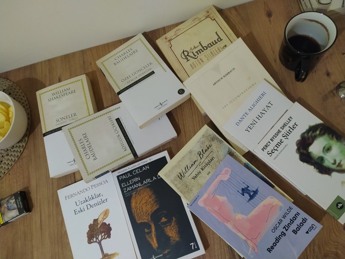Önerebileceğiniz şiir kitabı var mı?