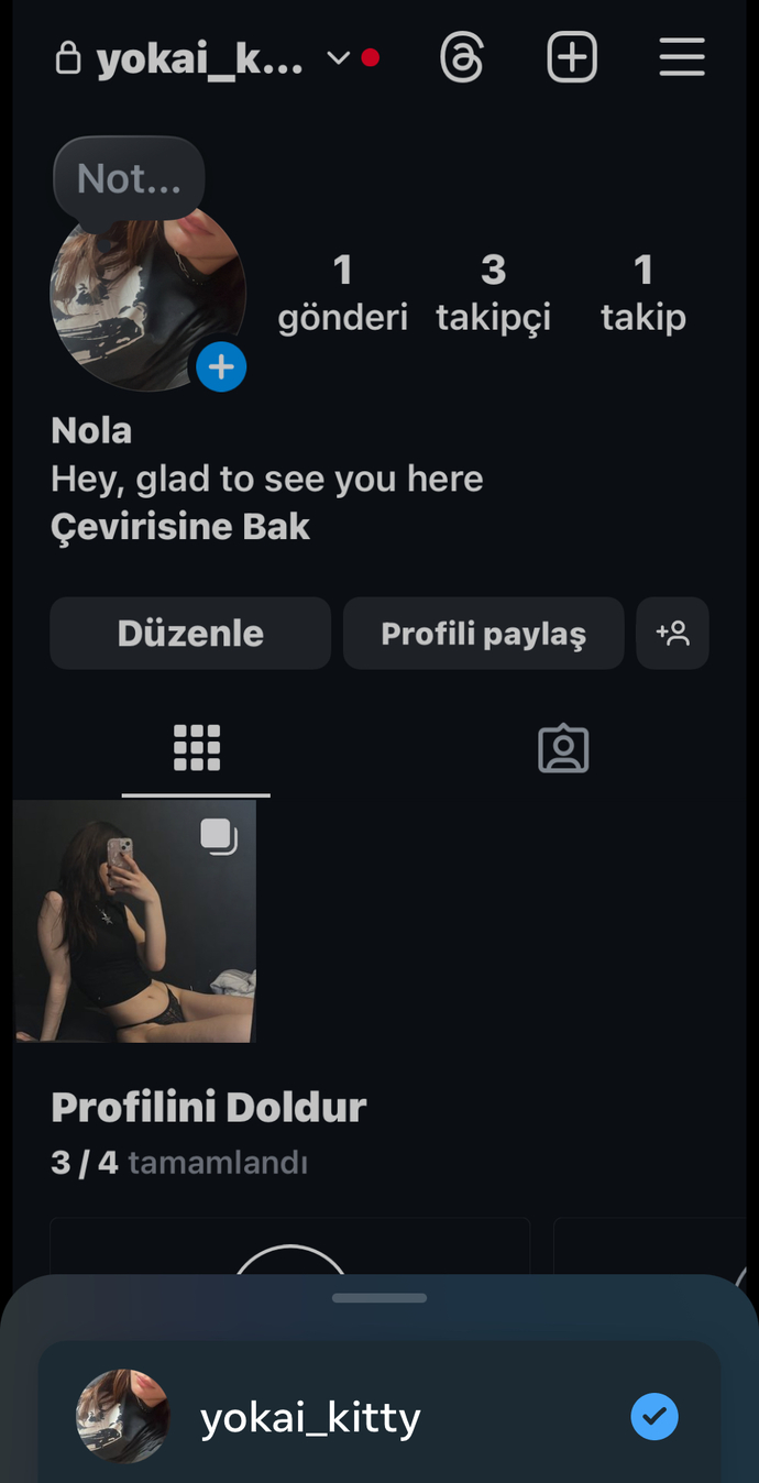 Kendime özel instagram hesabı açtım iyi mi yaptım sizce?