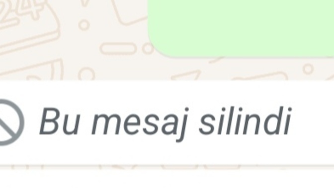 Geri çekilen mesajları merak ediyo musunuz?