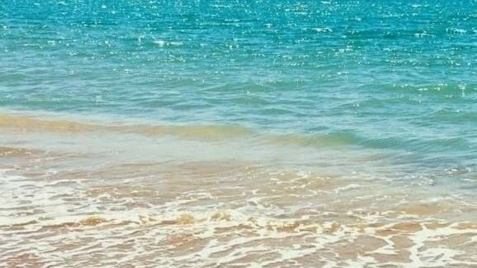 Denizin tuzlu olmasının sebebi insanların denize tuvaletini yapması mı?