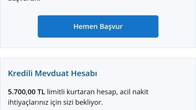 Hesap kartı kullandığım banka nın uygulamasında gördüm?