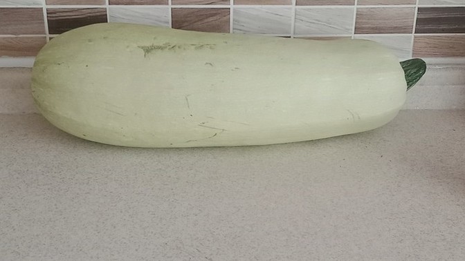 Bu kocaman dev gibi kabağı size verseydim ne yapardınız?