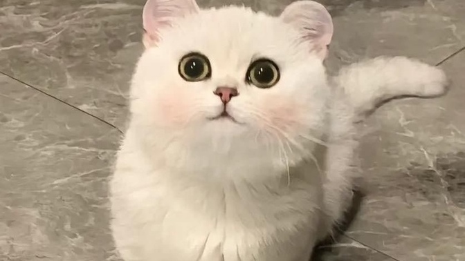 Senin olmasını istediğin bir şey var mı?