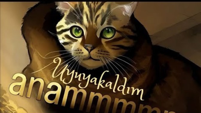 Uyuya kalıyor musunuz?