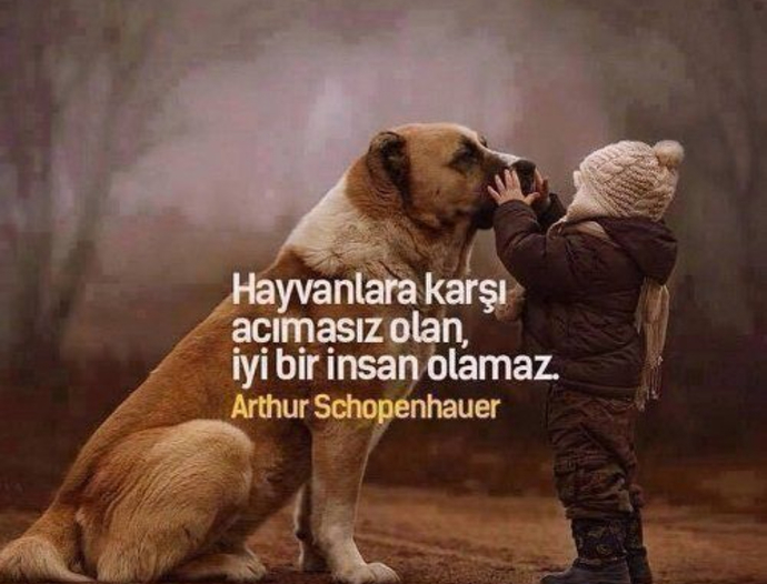 Yardım 🚨