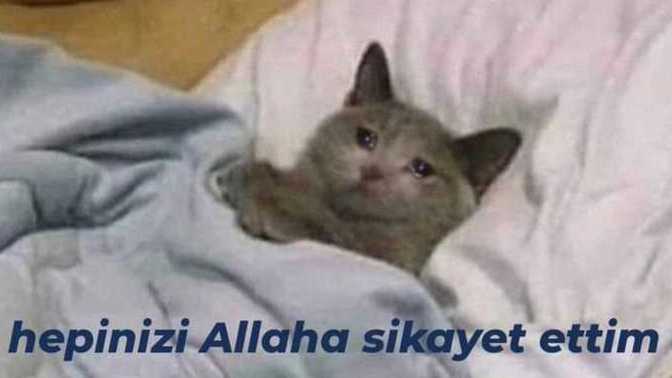 İnsanlar modunuzu kolayca etkileyebilir mi?