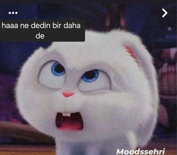 Çevrenizdekilerin garipseyeceği bir isteğiniz/hayaliniz var mı?