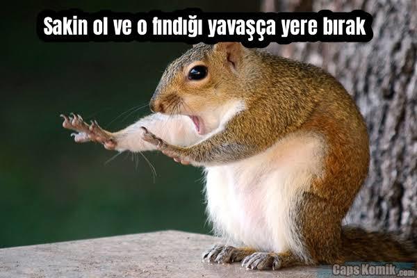 Siz fındığa başladınız mı?