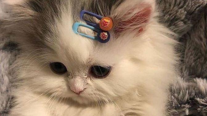 Sizce sevilmediğini bilmek mi yoksa sevildiğini sanmak mı daha kötü?