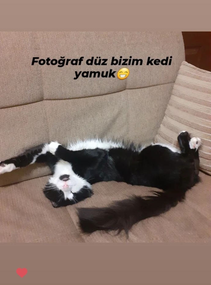 Neler eşlik ediyor gecene✨?
