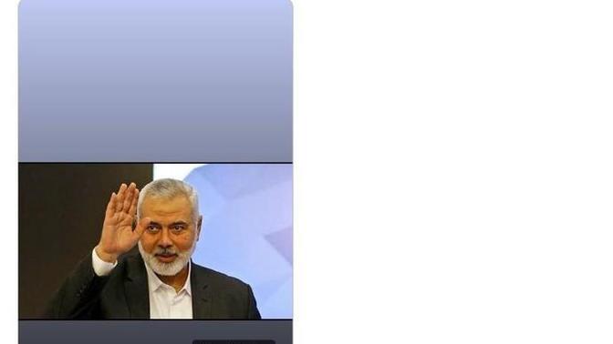 Hani Instagram şartları kabul etmişti?