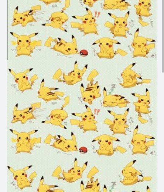 Kedim pikachu olmak istiyor ne yapmalıyım?