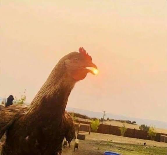 Güneşi gülüşüne nasıl sığdırdın dediğiniz biri var mı?