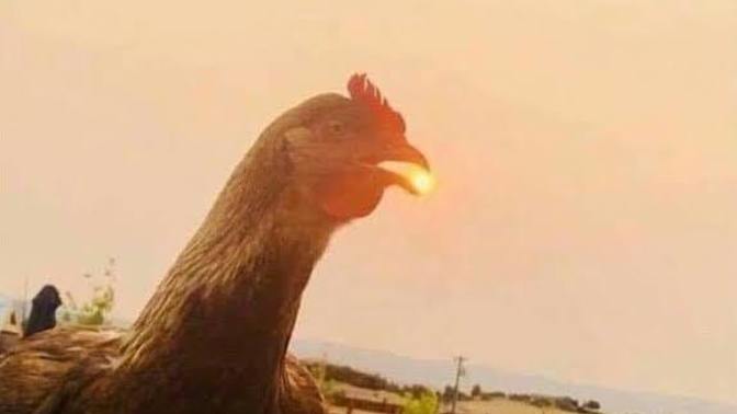 Güneşi gülüşüne nasıl sığdırdın dediğiniz biri var mı?