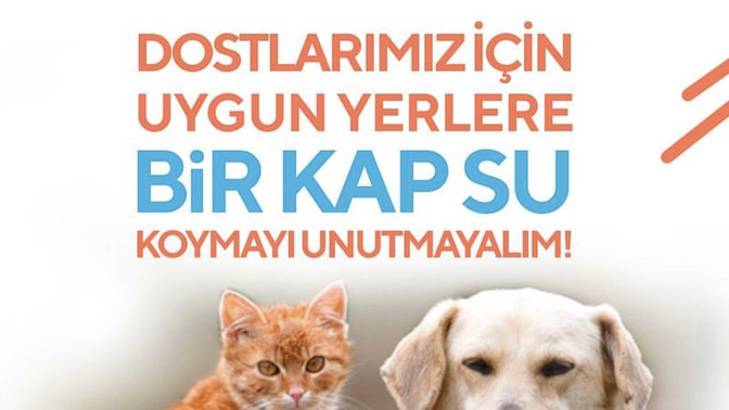 Yazın kavurucu sıcaklarında kapı önlerine bir kap su bırakıyo musunuz?