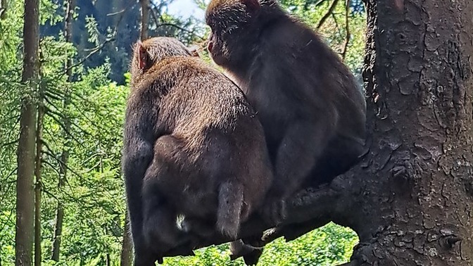 Hoslandiniz, flörtlestiniz hatta sevdiniz ama sosyal medyada tanıştığıniz kişi istediğiniz gibi çıkmadı, ne yaparsiniz?