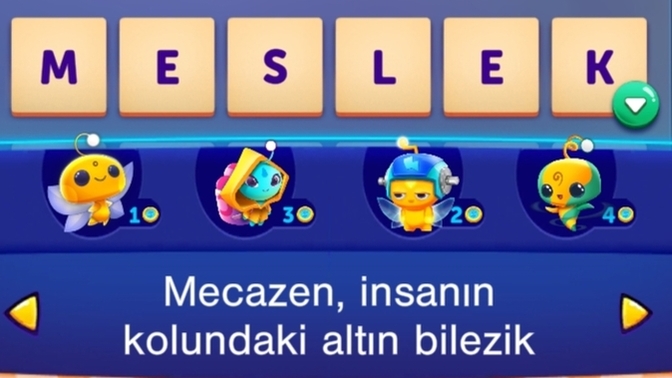 Mesleğiniz var mı?