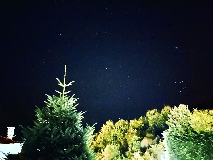 Bilgisayar / telefon ekranınızda ne tarz fotoğraflar tercih ediyorsunuz?