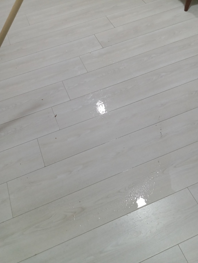 İşte gerçek eğlence jasj