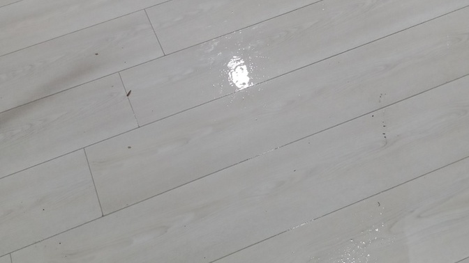 Parkeleri yıkamak delilik midir?