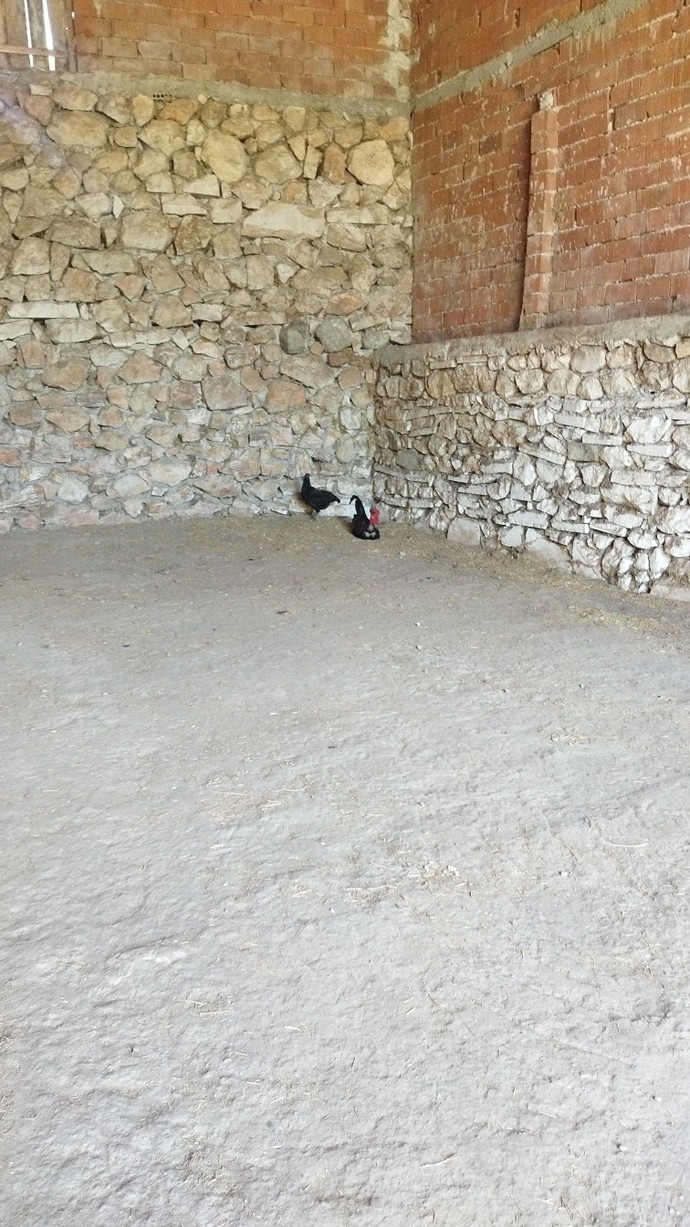 Son olarak neyin fotoğrafını çektin?