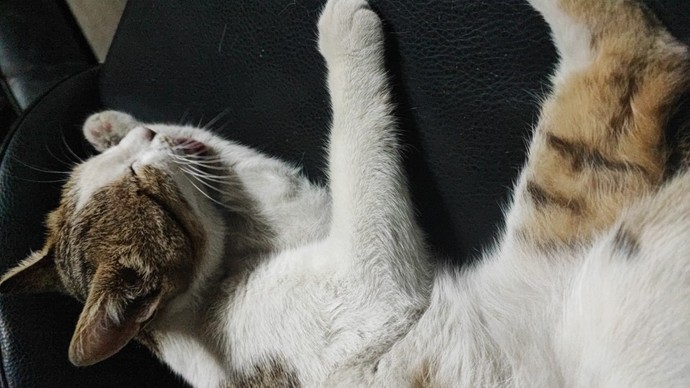 Son olarak neyin fotoğrafını çektin?