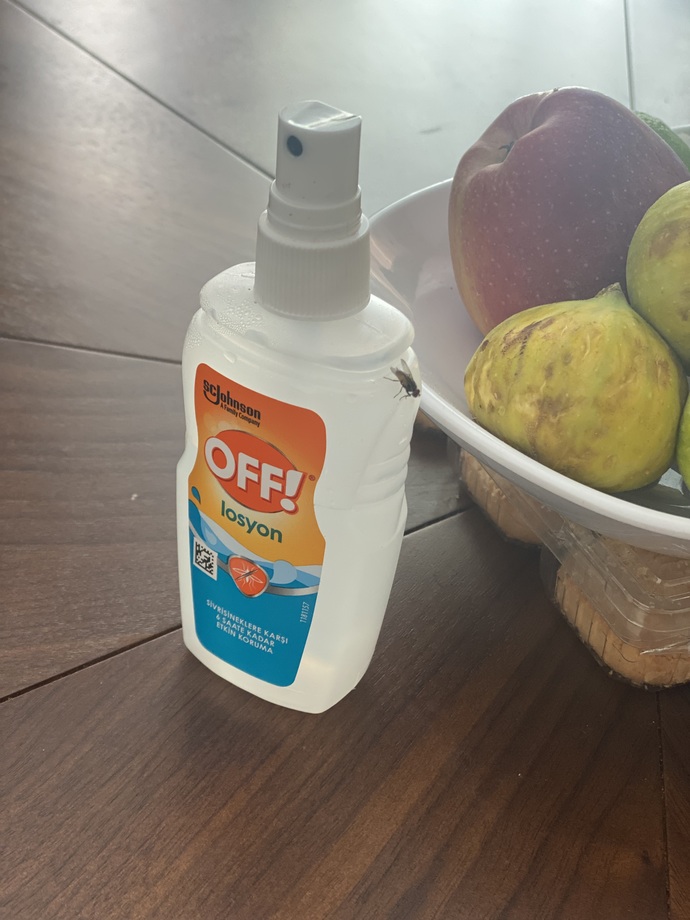 Son olarak neyin fotoğrafını çektin?