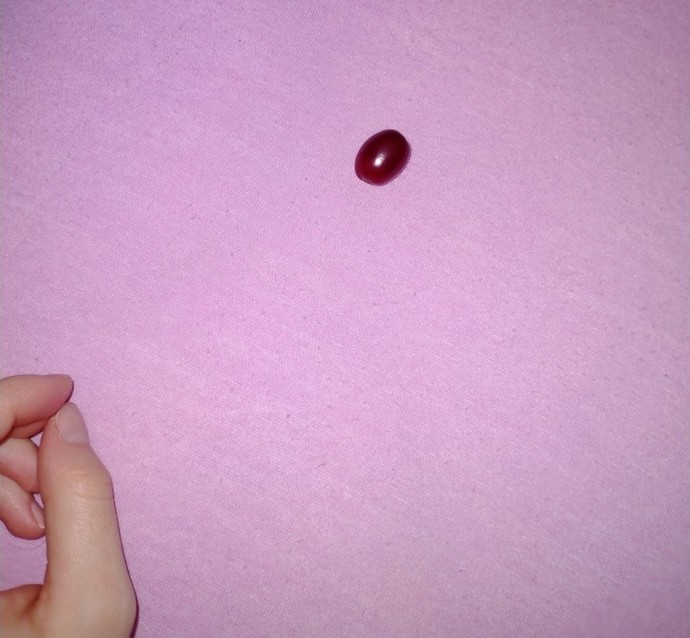 Son olarak neyin fotoğrafını çektin?