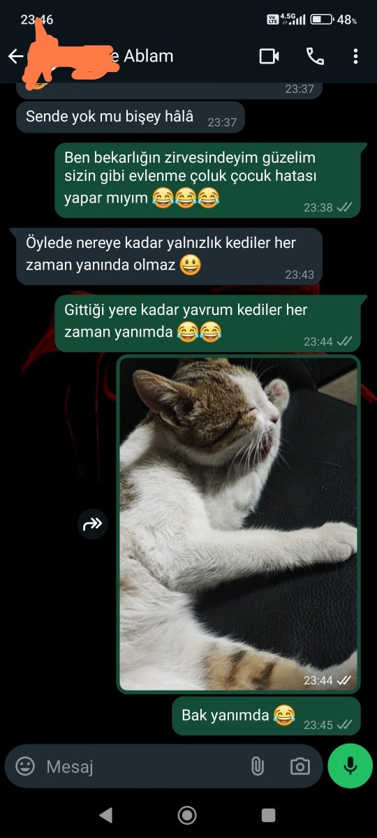 Aileniz evlenmenizi istiyor mu?