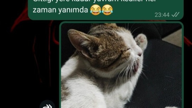 Aileniz evlenmenizi istiyor mu?