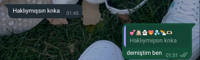 Bazı konularda haklı çıkmayı sever misiniz?