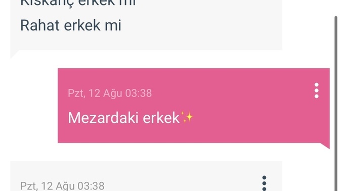 Yanlış bir şey mi söylemişimm?