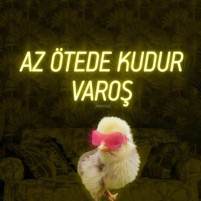 Hakkınızda yapılan dedikodular kulağınıza geldiğinde ne tepki verirsiniz?