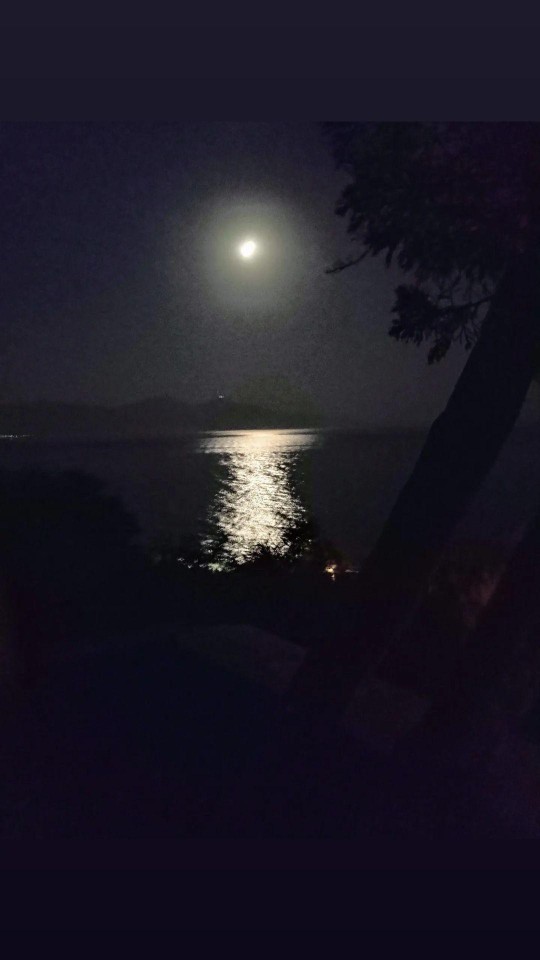 Sana lazım olan ne?