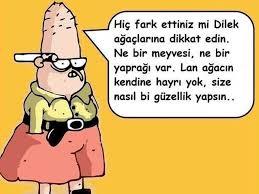 Reenkarnasyon gerçekse ve seçme şansınız varsa bir sonraki hayatınızda ne olmak istersiniz?