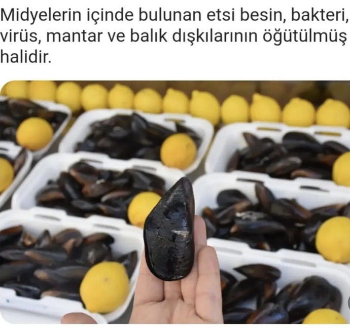 Midye yiyor musunuz?