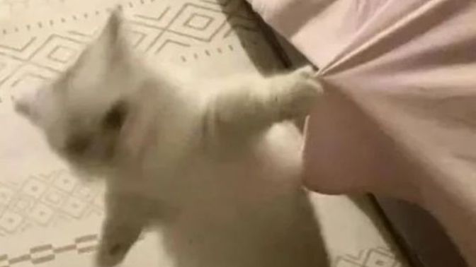 Sinirlendiğiniz zaman en fazla ne yaptınız? Ve nasıl bir tepki verirsiniz?
