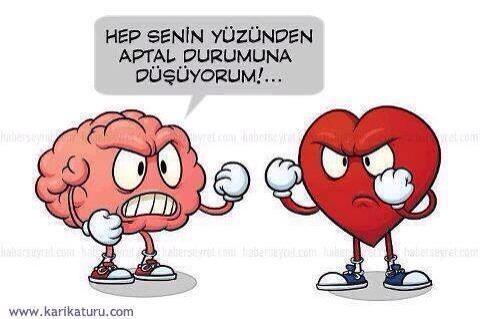 Aklını mı dinlersin, kalbini mi?