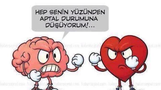 Aklını mı dinlersin, kalbini mi?