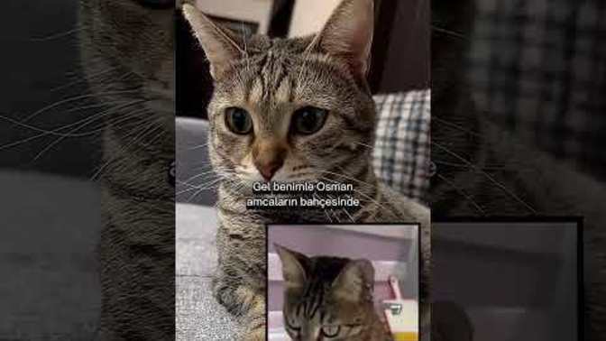 En son kiminle görüntülü konuştunuz?