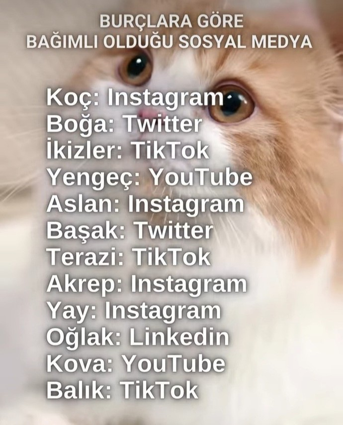 Bağımlı olduğunuz sosyal medya burcunuza göre neymiş bakalım?