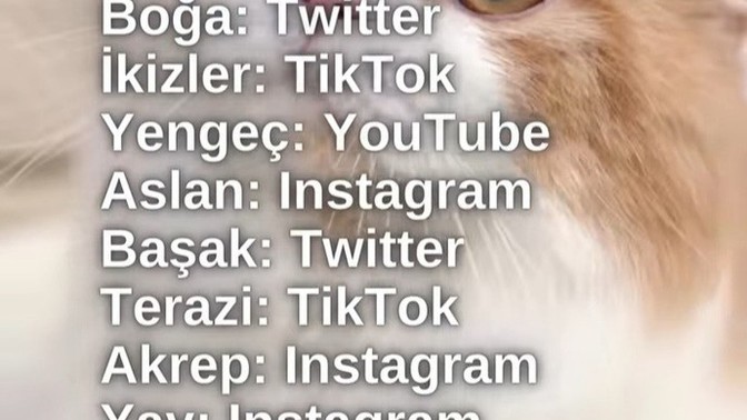 Bağımlı olduğunuz sosyal medya burcunuza göre neymiş bakalım?